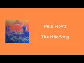 Pink Floyd - The Nile Song (Lyrics)