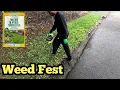 How To Eliminate Weeds Using Weed Feed Fertilizer
