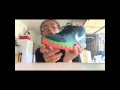 Kyrie 1 flytraps review