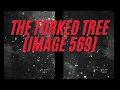 The night pictures, a complete analysis, part 2