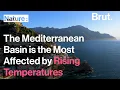 The Mediterranean Basin is the most affected by rising temperatures