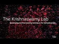 Machine Learning Data Topology Biomedical Datasets - Krishnaswamy Lab at Yale School of Medicine