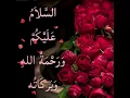 Download Lagu Assalamu Alaikum❤🥰 beautiful WhatsApp status  #shorts
