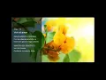 Download Lagu Deepak Chopra Dia 19 Reto de Meditacion Creando Abundancia