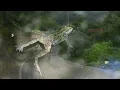 夏休み　　　　吉田 拓郎
