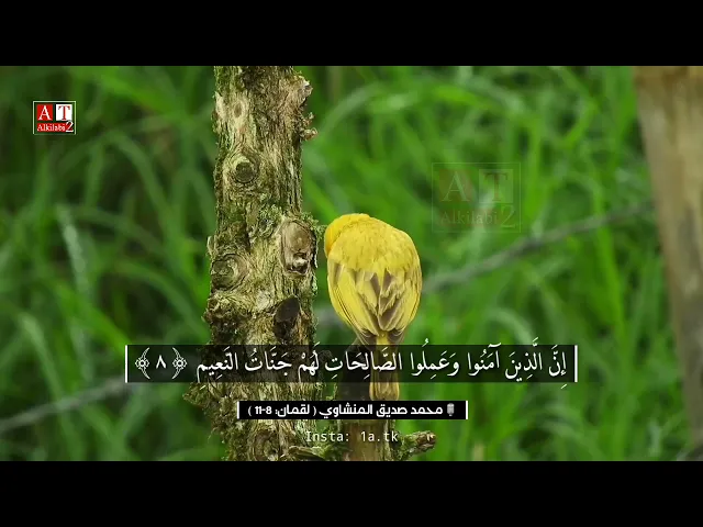 ⁣وَعْدَ اللَّهِ حَقًّا ۚ وَهُوَ الْعَزِيزُ الْحَكِيمُ .. || الشيخ محمد صديق المنشاوي رحمه الله