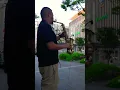 Download Lagu ストリートライブ Autumn leaves #saxophone #管楽器 #cover #saxplayerippei