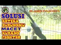 Download Lagu PANCINGAN PAGI HARI MELATIH MENTAL FIGHTER murai batu @kkmkicau5758 @ocehanmuraibatu
