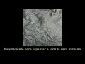 Felt - Primitive Painters - Featuring Elizabeth Fraser (subtitulada en español)