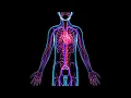 Mayo Clinic Minute How vasculitis affects the body