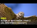 Download Lagu Approaching The Scene 266: Action AF with Nikon Z Part 2 (Z8, Z9 \u0026 Hybrid Handoff)