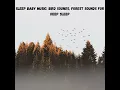 Forest Bird Song