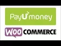 WordPress Tutorials - Woo-commerce Payment Setup Perfect Learner Part