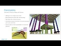 DynamO Design Automation for Structural Engineering 15