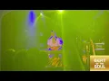 Ego Ella May LIVE in London, Omeara,  July 2021 | Part 2 - Concert Footage | Beat of the Soul
