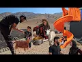 Download Lagu A Happy Family Day with Ali's Nomadic Family: From Cooking Traditional Food to Building a Home