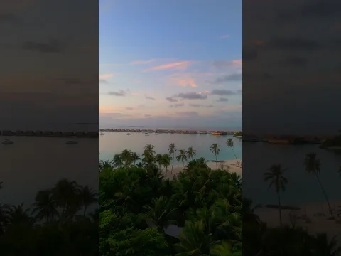 Flying Over Paradise 🌅 #shorts #maldives #travel