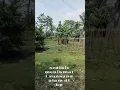 Download Lagu Wah, kontennya bermanfaat banget❤️https://sck.io/p/Ddy9prBI