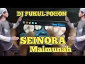 Lagu DJ SEINORA MAIMUNAH DJ PUKUL POHON VIRAL TIK TOK