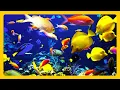Lagu 🎧 Prachtig aquarium en de beste ontspannende muziek - SLAAPMUZIEK - HD 1080P