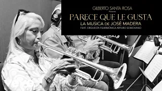 Gilberto Santa Rosa, José Madera - Parece Que Le Gusta ft. Orquesta Filarmónica Arturo Somohano