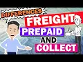 What s the difference between Free Time Demurrage Detention
