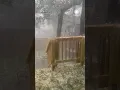 Deadly Thunderstorm Hits Austin Texas with Flooding Hail