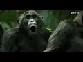 Chimp Empire Mahershala Ali Trailer
