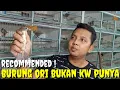 Download Lagu OWNERNYA BUKA KARTU ! GARA2 MAU NGABISIN STOK BURUNG DI JUAL MURAH BINGIT