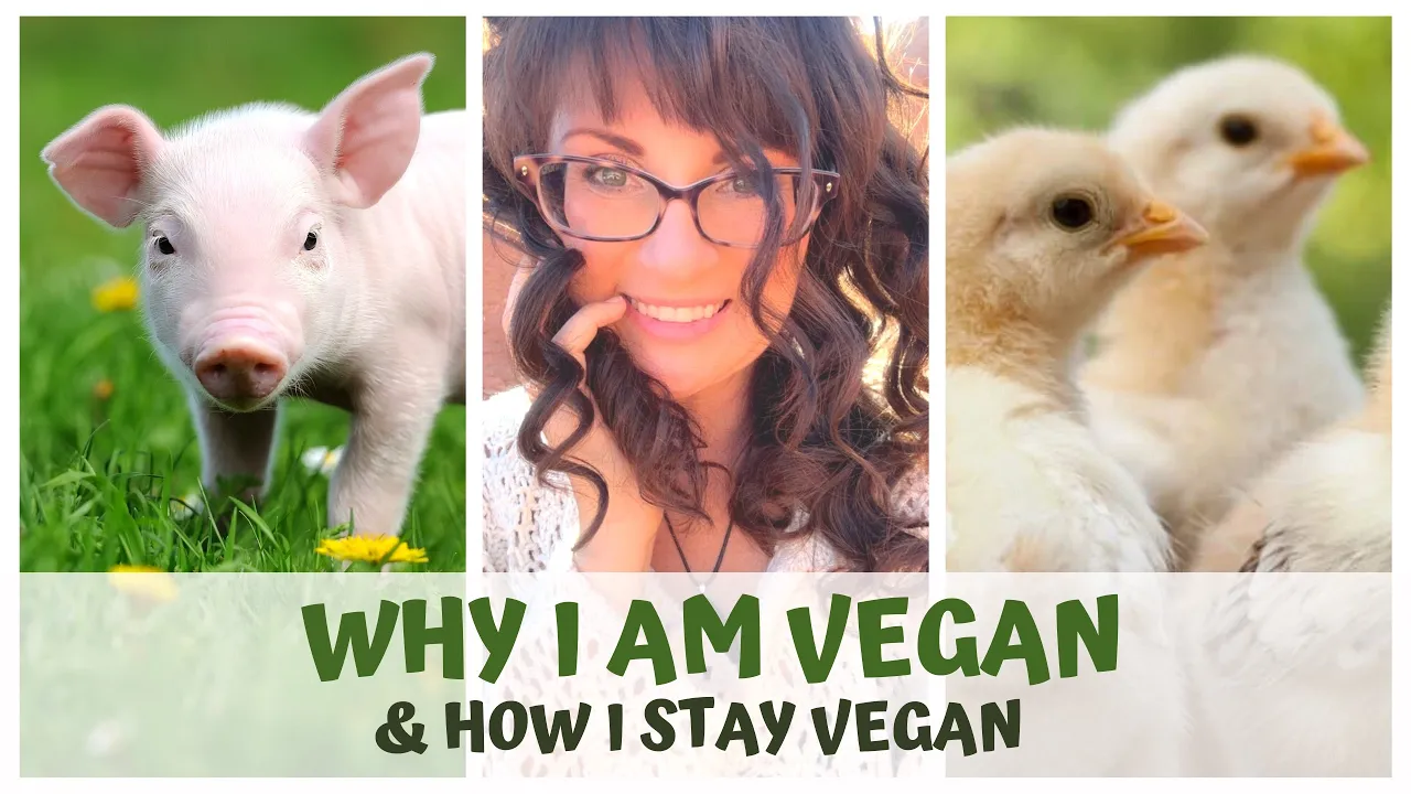 WHY I AM VEGAN & HOW I STAY VEGAN