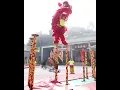 Download Lagu Traditional Chinese lion dance performance moves