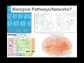 Network Visualization