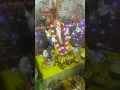 Download Lagu Gauri Putra Ganesh Ji Maharaj Uttar Pradesh Bareilly gadariya # Ganesh Chaturthi Aarti Darshan