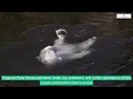 Explore the Tundra Ecosystem