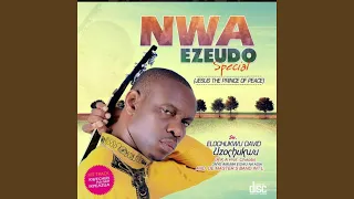 nwa ezeudo