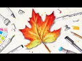 How to draw a MAPLE LEAF