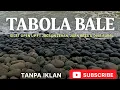 Download Lagu Tabola Bale - Silet Open Up (feat. Jacson Zeran, Juan Reza \u0026 Diva Aurel) (Official Music Video)Viral
