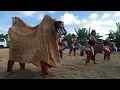 Download Lagu Djaran Kepang Young Black Horse MAIKOEPROJECT PDO CENTRUM