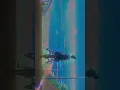 Download Lagu Volume Up|Rotate|Feel the Vibe🌸|| clip credits:- themarthin on titok #aesthetic #edit #shortsfeed