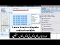 SPSS tutorial How to use compute variable Language