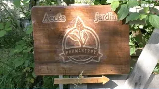 Reportage PermaBerry association permaculture a Chateauroux