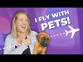 How I became a flight nanny Answering your questions