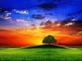 Download Lagu ' Higher' by DMP (Solomon Islands Reggae 2010)