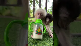 drink best funny of both baby
