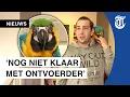 Download Lagu Ontvoerde papegaai weer thuis: ‘Dit kan gewoon niet!’