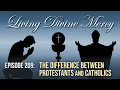 Protestantism vs Catholicism - Living Divine Mercy EWTN Ep 209 w Fr Chris Alar MIC