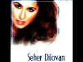 Seher Dilovan - Yine Karlar Yağdı Gönül Dağıma