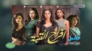 صاحبة السعادة   هذا  ما قالته دينا الشربينى عن تعاملها مع نجمات افراح القبة دندنها