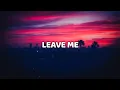 Peach Tree Rascals - LEAVE ME (Lyric Video)