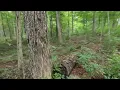 New York Hunting Lease Now Available On HLRBO